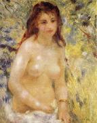 The female nude under the sun Pierre-Auguste Renoir